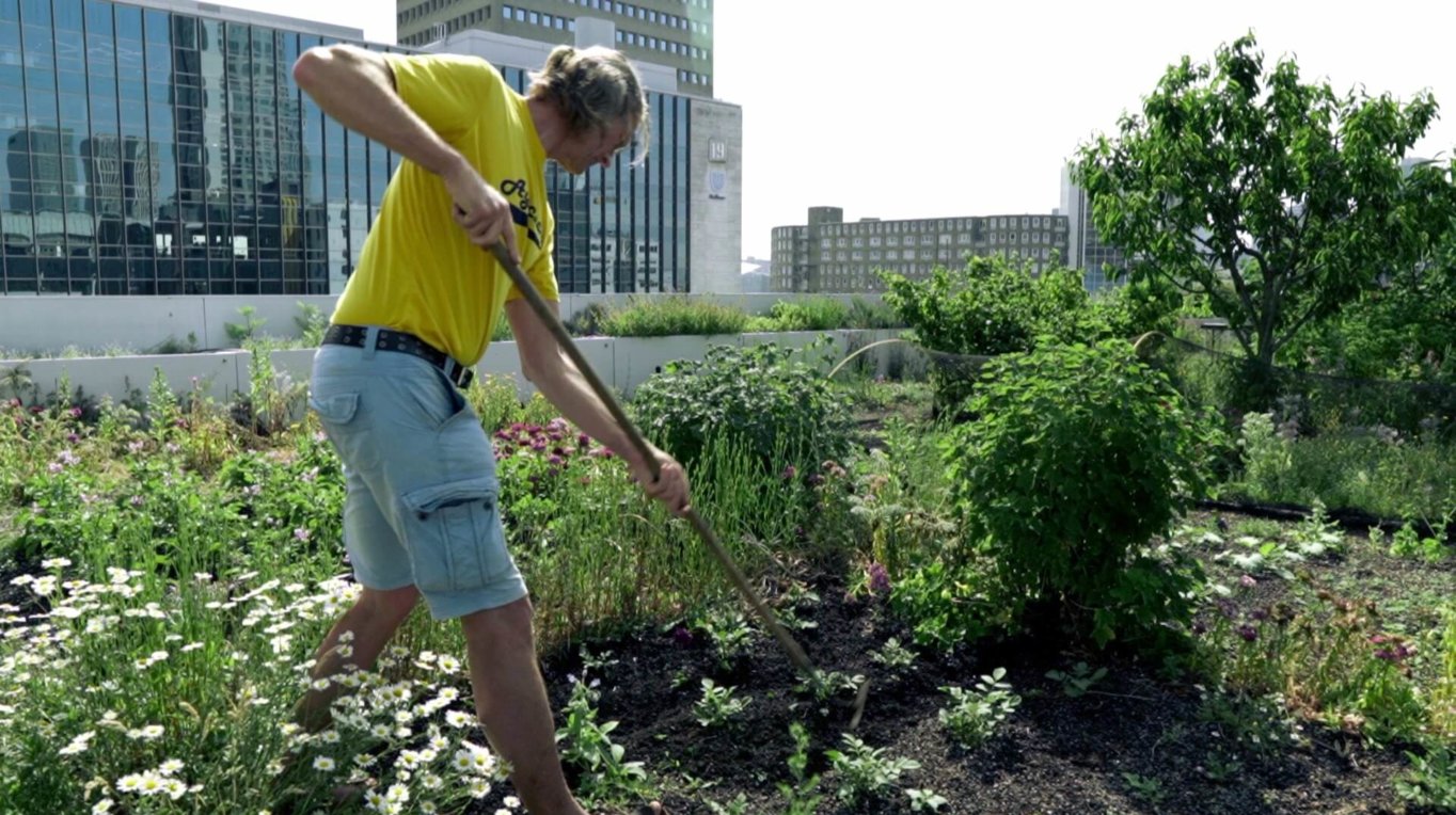 These 16 urban farmers turned to the roofs to feed their cities