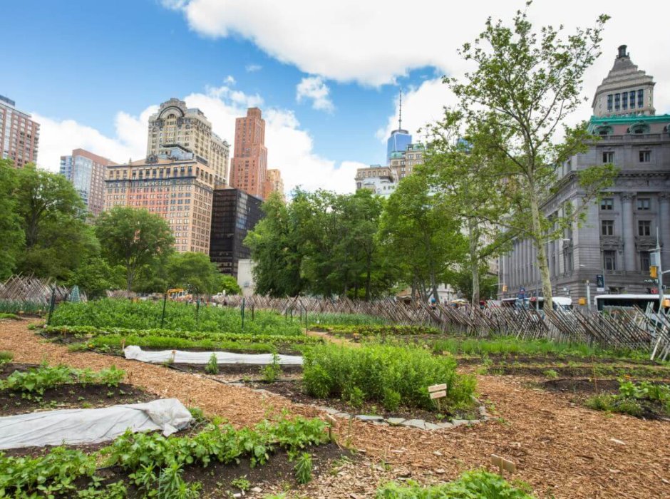 These Urban Farmers Are Changing The Food System Of Johannesburg One   Battery Urban Farm New York 940x700 C Default 