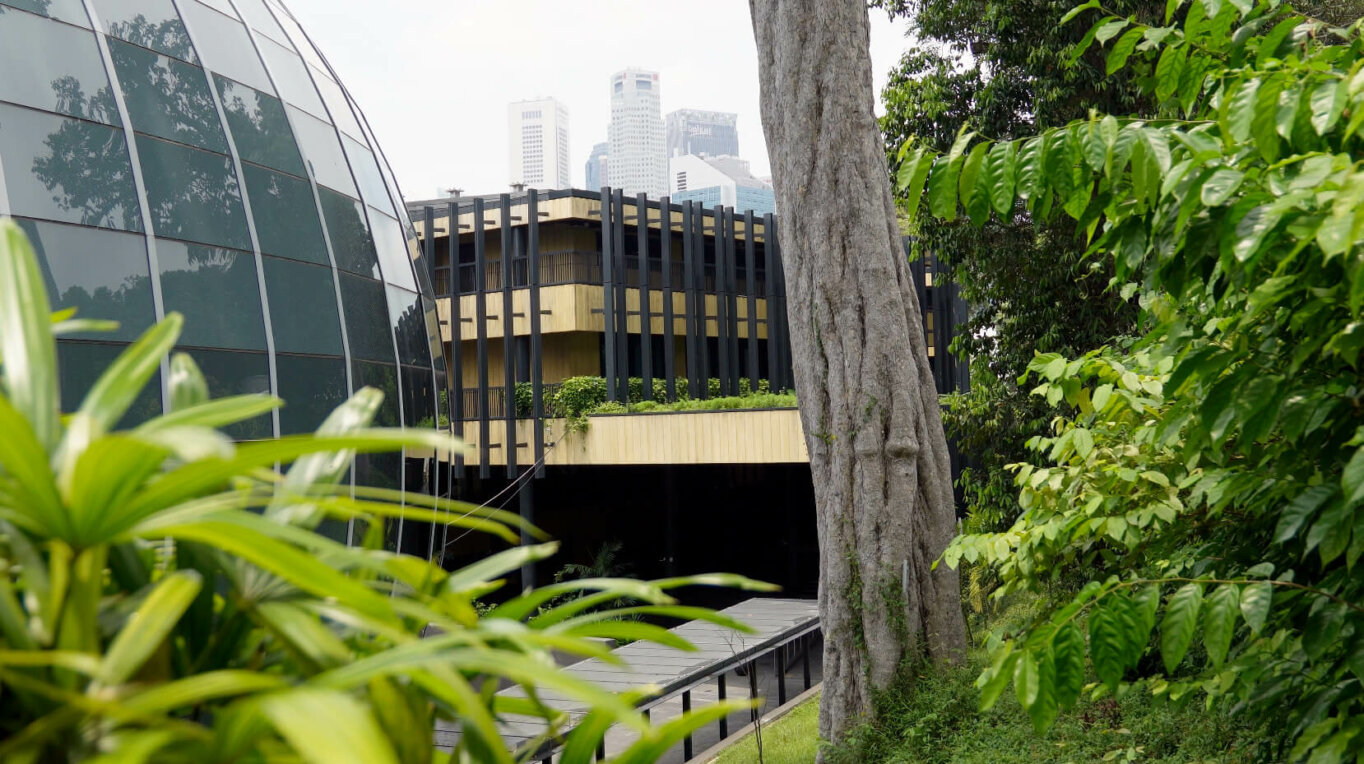 Little Land, Big Appetite: Singapore Architects Plot Food Production